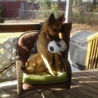 Phyllis Nichols Photo 35