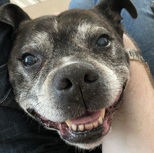 Andrew Grover Photo 23