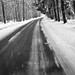 Michael Bohan Photo 24