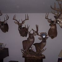 Susan Keiser Photo 17