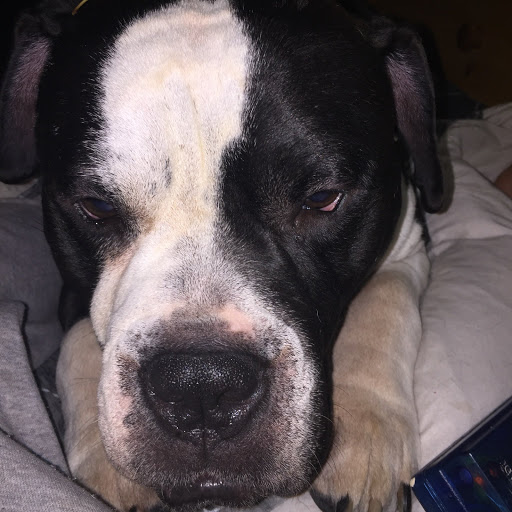 Shauna Jenkins Photo 7