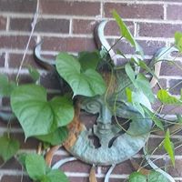 Marie Land Photo 12