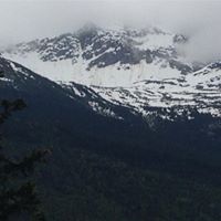 Alan Howard Photo 53 Alan Howard Photo 53