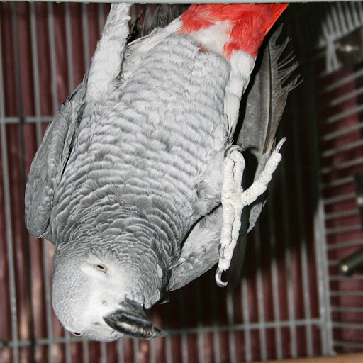 Amy Burd Photo 10