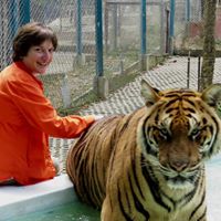 Anne Cook Photo 18