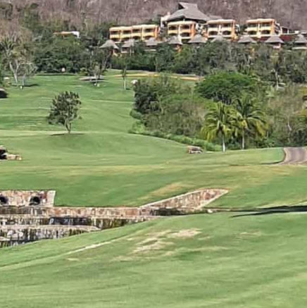 Michael Stout Photo 8 Michael Stout Photo 8