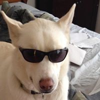 Mark Browning Photo 6