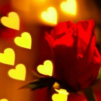 Faith Kelly Photo 18