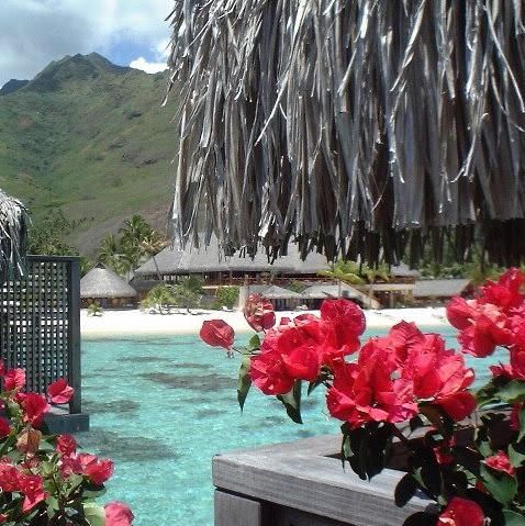 Ellena Harris Photo 2