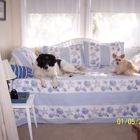 Charlie Henry Photo 35