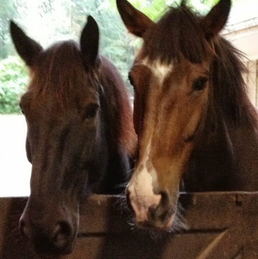 Michele Reilly Photo 23