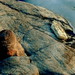 Helen Mcbride Photo 16