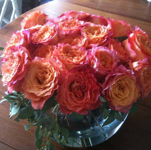 Julie Davenport Photo 33