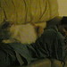 Jennifer Peach Photo 17