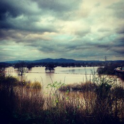 Joe Winters Photo 22