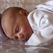 Jean Mccarthy Photo 19
