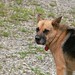 Tammy Vaughn Photo 14