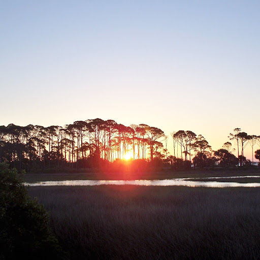 Ann Hatfield Photo 21