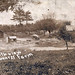 Peter Laporte Photo 10