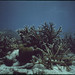 John Few Photo 5