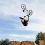Dennis Martin Photo 18