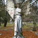 Angel Ross Photo 31
