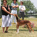 Lois Snyder Photo 41
