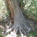 Jason Backer Photo 16