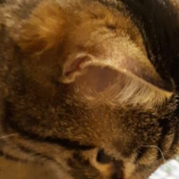 April Knight Photo 32