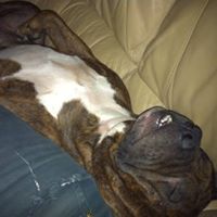 Michael Mallett Photo 20 Michael Mallett Photo 20