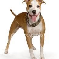 Marilyn Nolan Photo 24