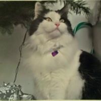 Julie Haskin Photo 3