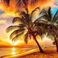 Debra Schafer Photo 5