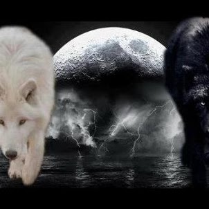 Pauline Burroughs Photo 8