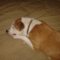 Edna Brown Photo 19