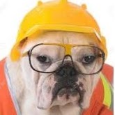 Martin Moran Photo 49 Martin Moran Photo 49