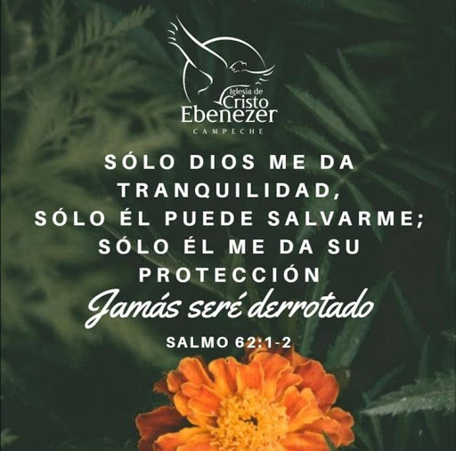 Julia Castaneda Photo 11