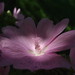 Nancy Floyd Photo 11
