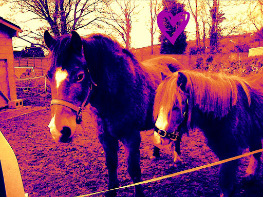 Charlotte Stafford Photo 12