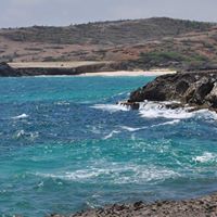 Pamela Kaufman Photo 18