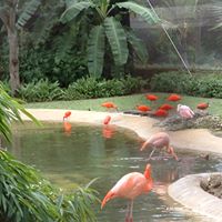 Debbie Gooding Photo 9