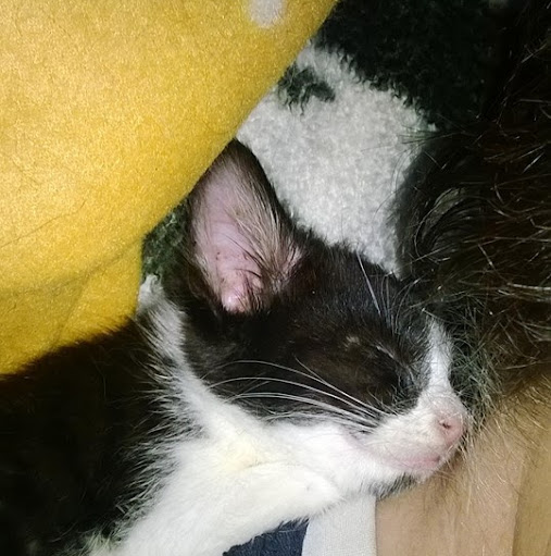 Sean Finnegan Photo 22