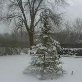 John Gage Photo 10