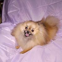 Teresa Parish Photo 6