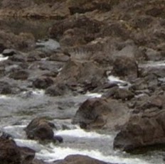 Dennis Mohr Photo 17