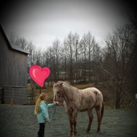 Elizabeth Mcandrew Photo 9