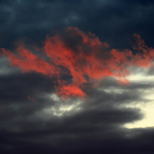 Daniel Tate Photo 16