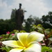 Minh Bui Photo 20