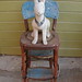 Pat Hopper Photo 15
