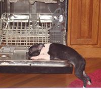 Dorothy Hurt Photo 11